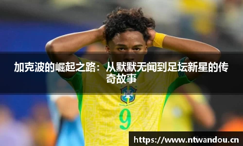 奇异果体育
