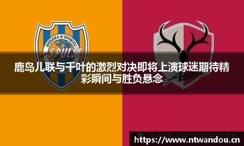 奇异果体育